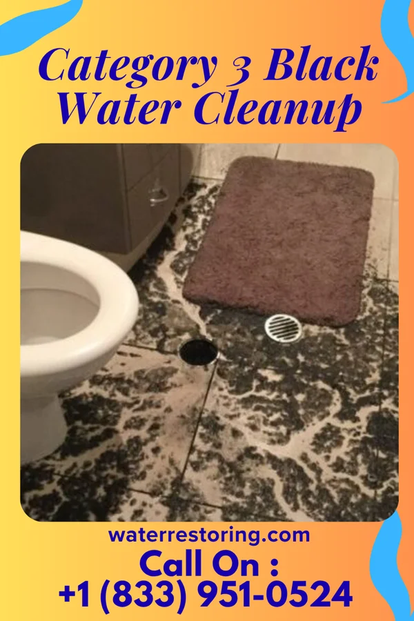 Category 3 Black Water Cleanup in Camden, OH