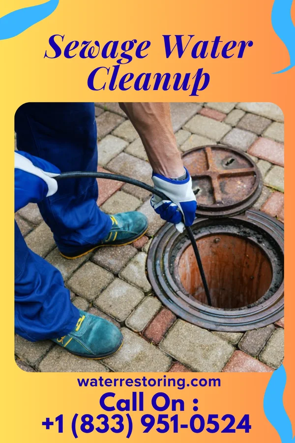Sewage Water Cleanup in Camden, OH