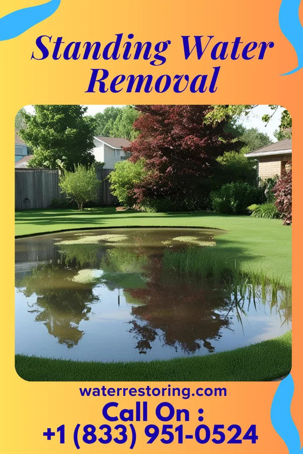 Standing Water Removal in Camden, OH
